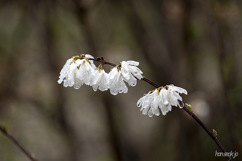 DSC_4900.jpg