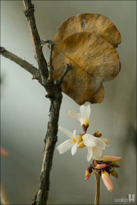 DSCF2720.jpg