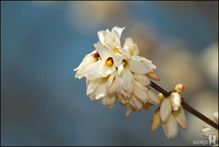 DSCF6618.jpg