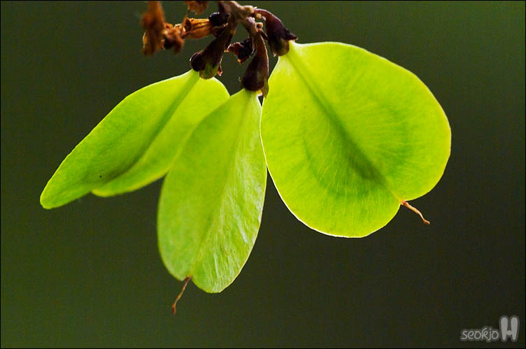 DSCF7972.jpg
