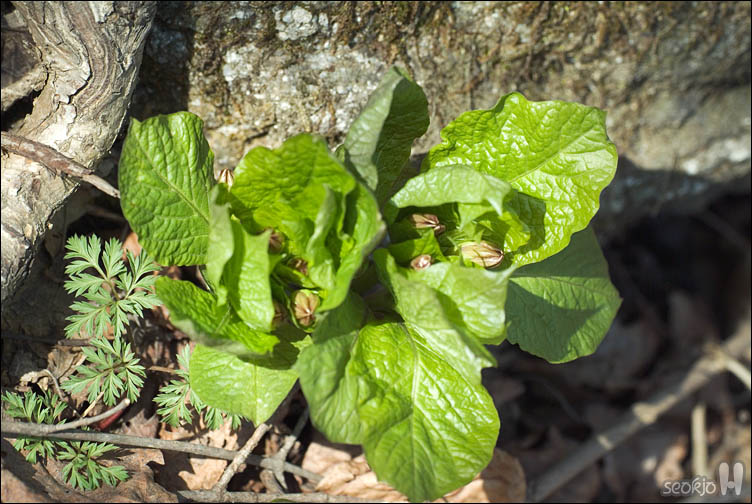 DSCF2584.jpg