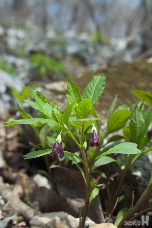 DSCF2740.jpg