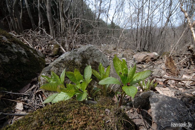 DSC_5443.jpg